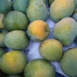 হিমসাগর আম (২৪ কেজি)